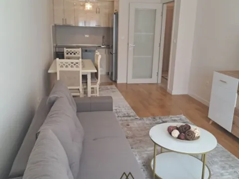 Izdavanje, jednosoban stan, 46m², Central Point, Podgorica - image 3