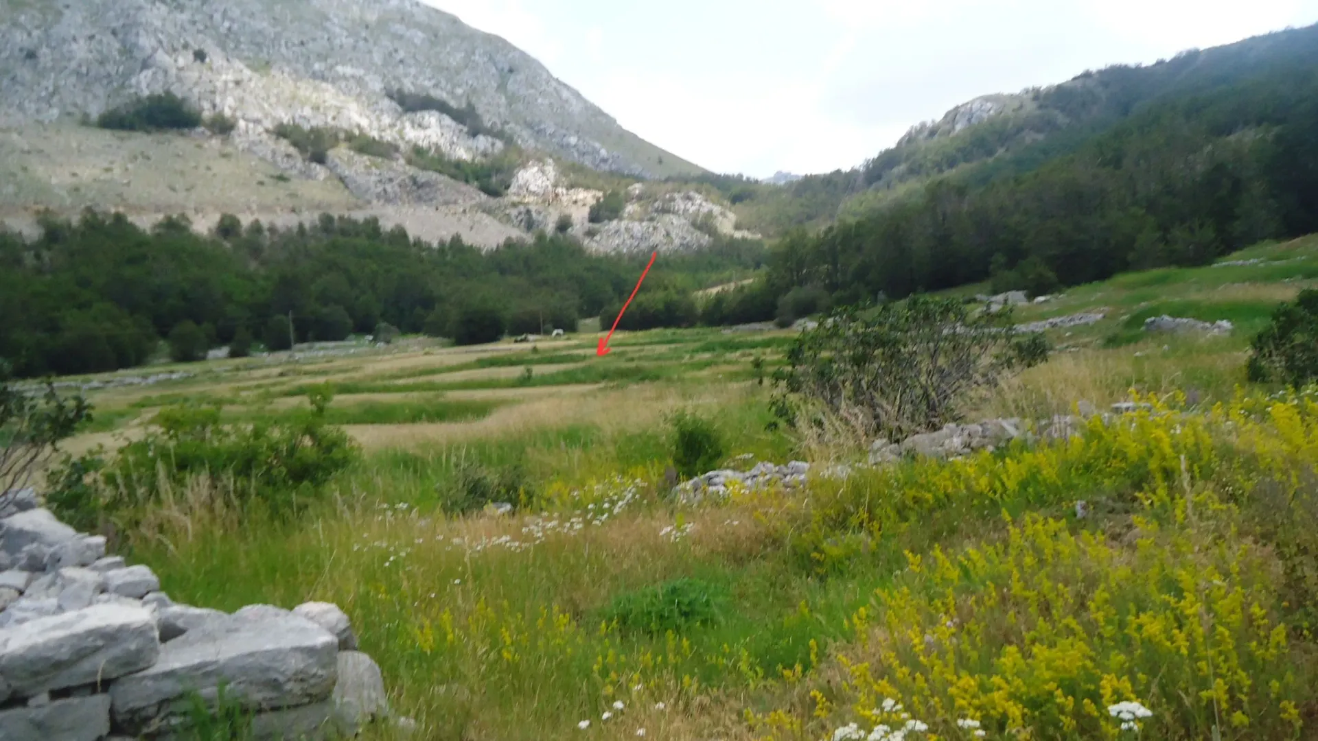 Prodaja, plac, 1309m², Njeguši, Cetinje