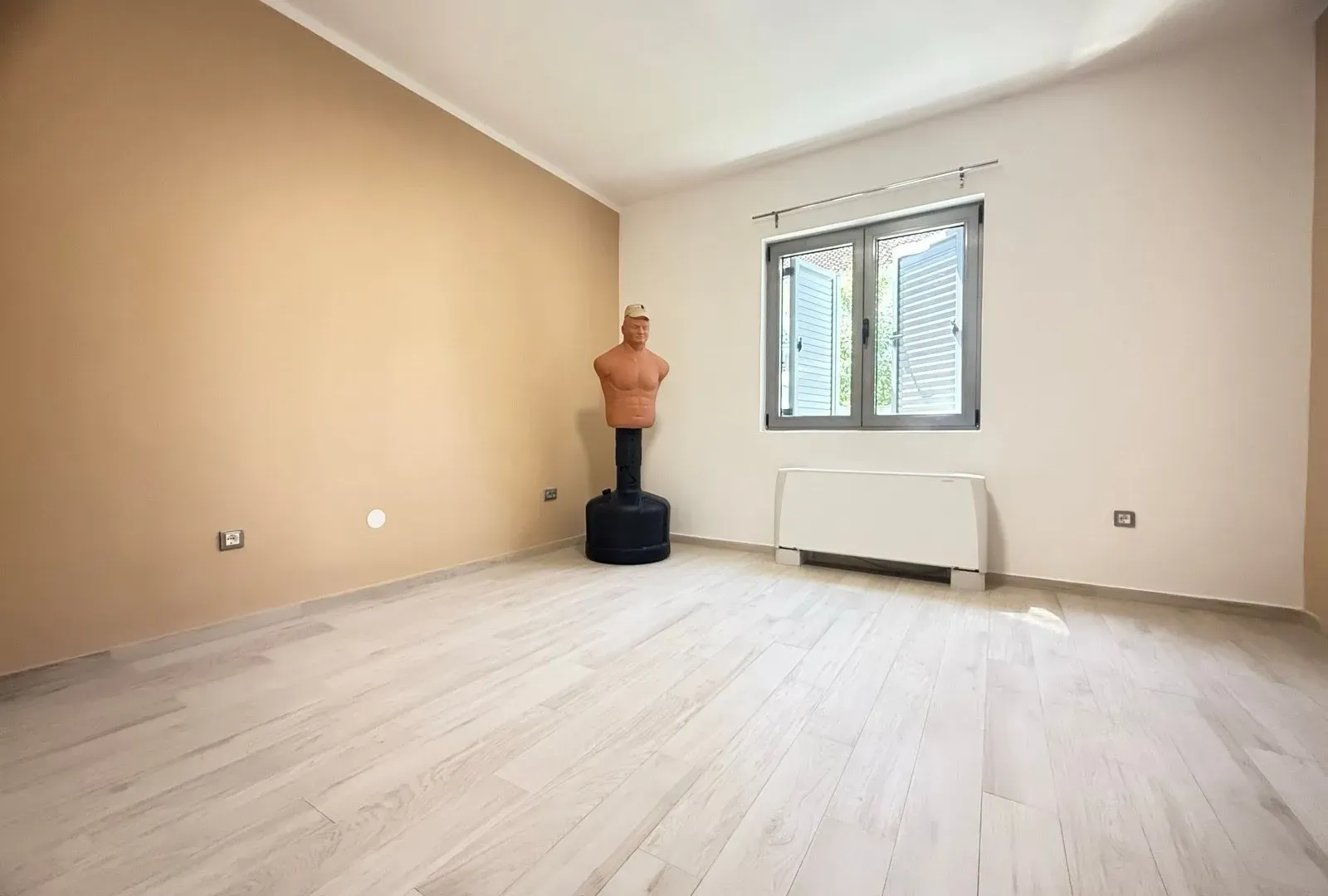 Rent, house, 320m², Podgorica, Crna Gora