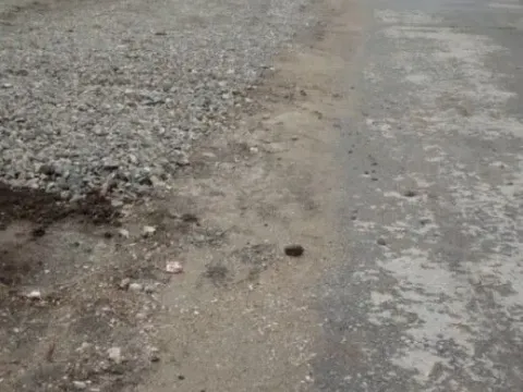 Prodaja, plac, 500m², Ledine, Beograd - image 4