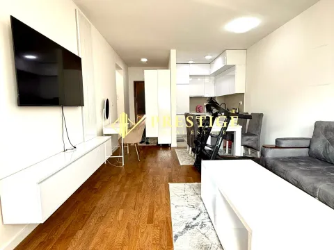 Izdavanje, jednosoban stan, 47m², Stari Aerodrom, Podgorica - image 4