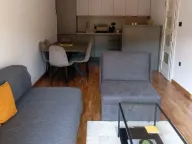 Rent, one bedroom apartment, 50m², Centar, Cetinje - image 1