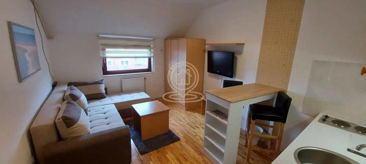 Izdavanje, jednosoban stan, 20m², Rotkvarija, Novi Sad Sve Podlokacije