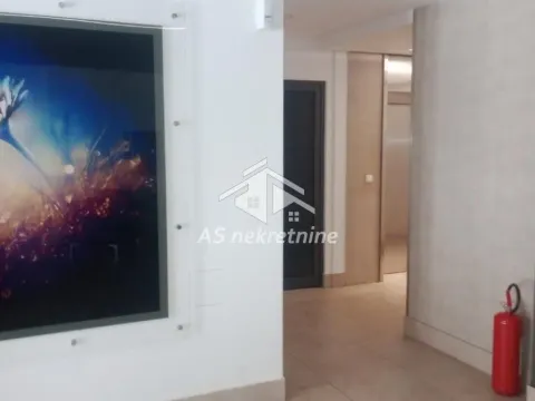 Izdavanje, jednosoban stan, 45m², Tašmajdan, Palilula Sve Podlokacije - image 27