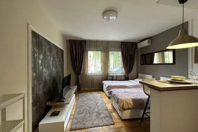 Rent, one bedroom apartment, 25m², Južni Bulevar, Vračar Sve Podlokacije