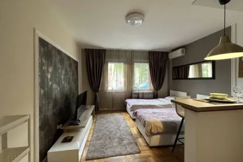 Rent, one bedroom apartment, 25m², Južni Bulevar, Vračar Sve Podlokacije - image 2