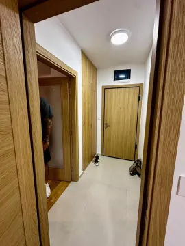 Rent, one bedroom apartment, 59m², Central Point, Podgorica - image 962