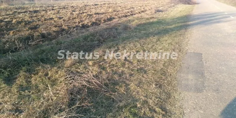 Prodaja, plac, 4000m², Sremski Karlovci, Novi Sad