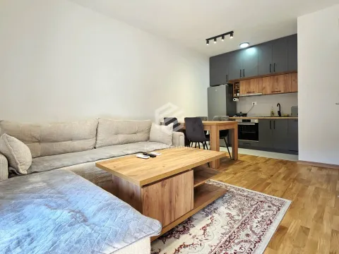 Rent, one bedroom apartment, 40m², Zabjelo, Podgorica - image 3