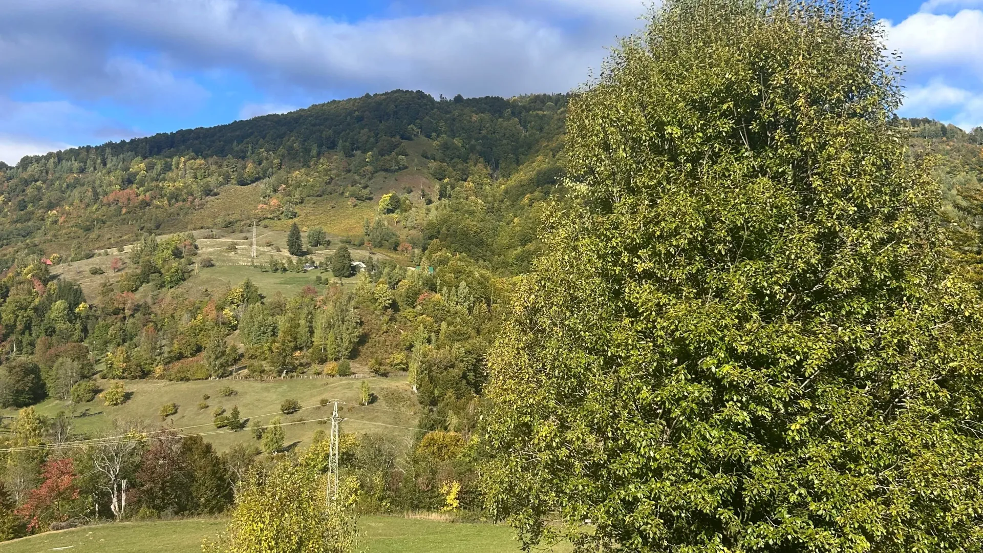 Prodaja, plac, 62500m², Bare, Kolašin