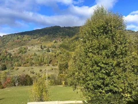 Prodaja, plac, 62500m², Bare, Kolašin - image 4