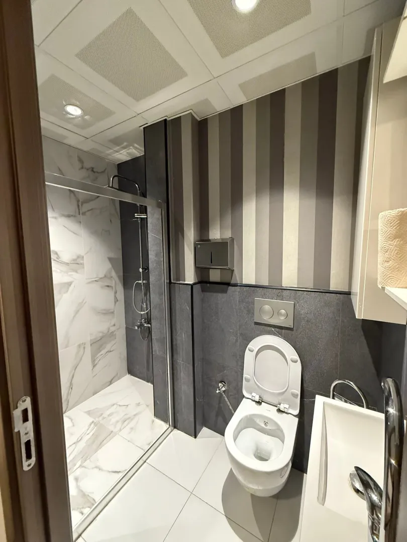 Modern bathroom with a walk-in shower, toilet, and sink.