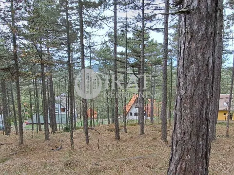 Sale, land lot, Divčibare, Valjevo - image 2