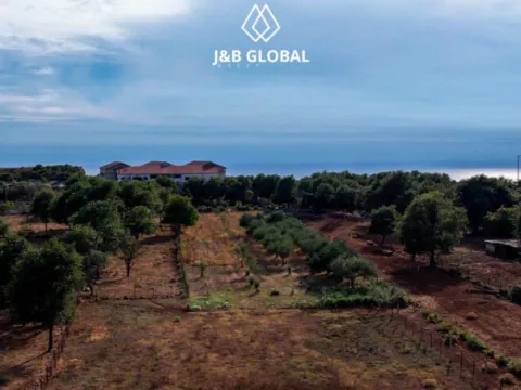 Prodaja, plac, 2600m², Krimovica, Kotor - image 2