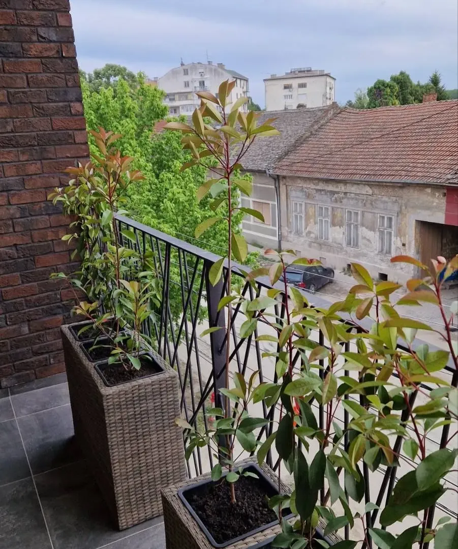 Izdavanje, jednosoban stan, 37m², Centar, Pančevo