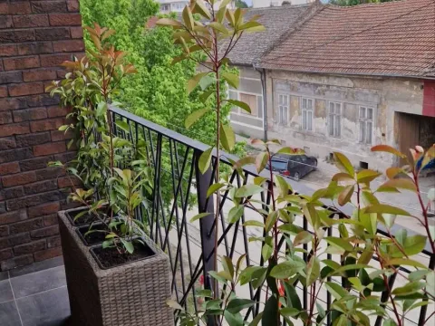 Rent, one bedroom apartment, 37m², Centar, Pančevo - image 7