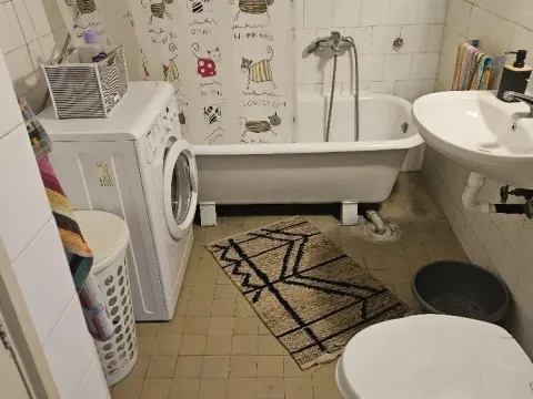 Rent, one bedroom apartment, 33m², Zemun Centar, Zemun Sve Podlokacije - image 15