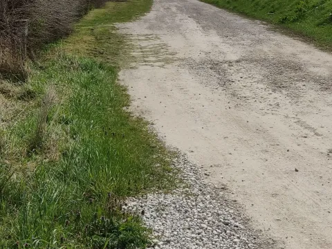 Prodaja, plac, 41100m², Gornji Grad Margita, Pančevo - image 8