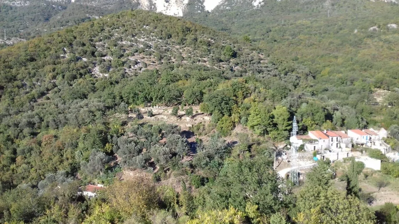 Prodaja, plac, 9999m², Bečići, Budva