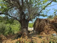 Prodaja, plac, 10000m², Cetinje, Crna Gora - image 2