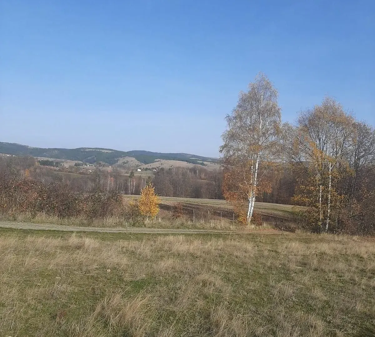 Prodaja, plac, 1000m², Tometino Polje, Požega