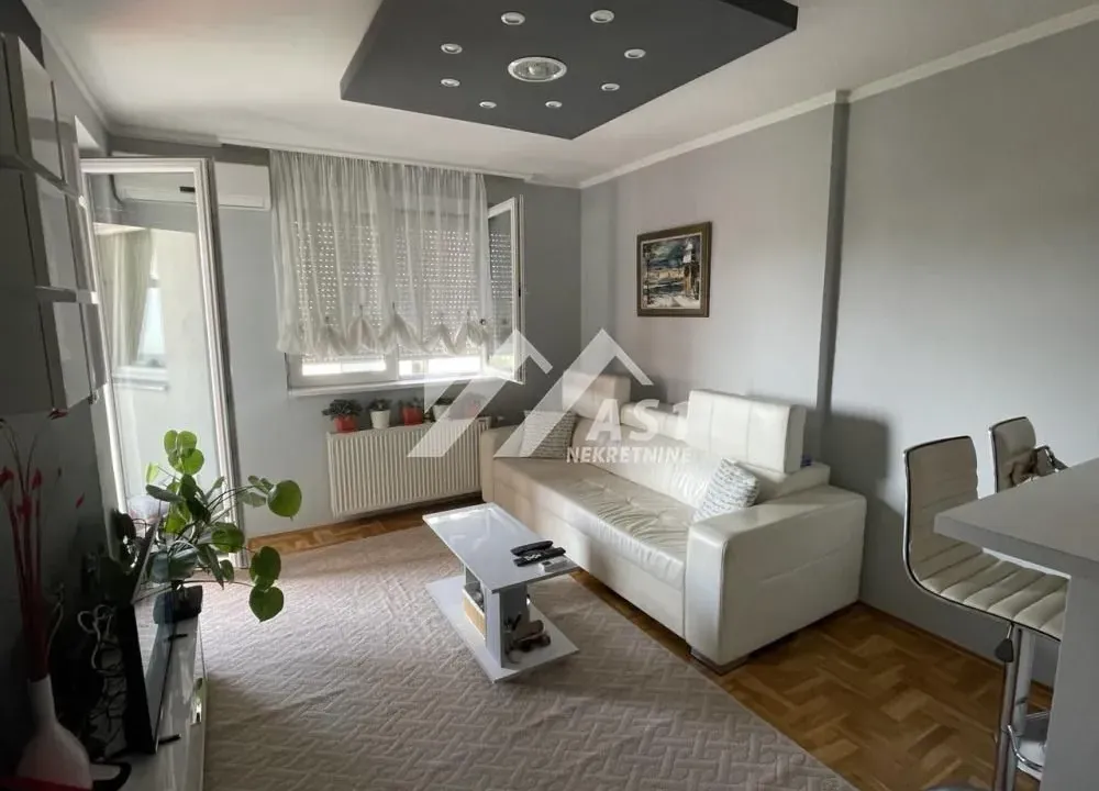 Izdavanje, dvosoban stan, 35m², Bulevar patrijarha Pavla, Novi Sad Sve Podlokacije