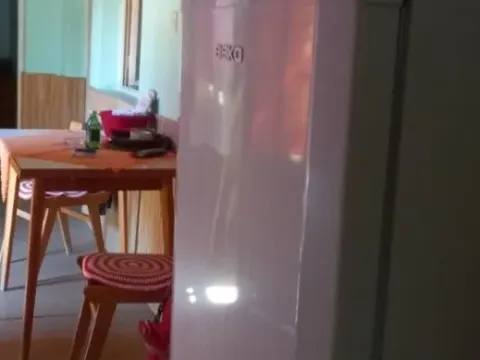 Prodaja, kuća, 116m², Perlez, Zrenjanin - image 12