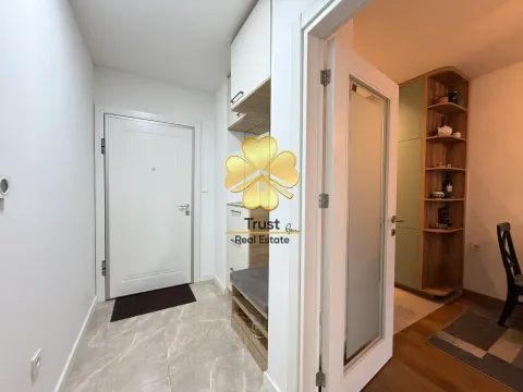 Izdavanje, jednosoban stan, 50m², Podgorica, Crna Gora - image 7