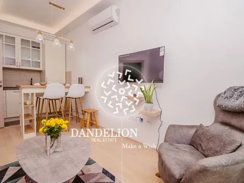 Izdavanje, jednosoban stan, 36m², Gorica C, Podgorica - image 3