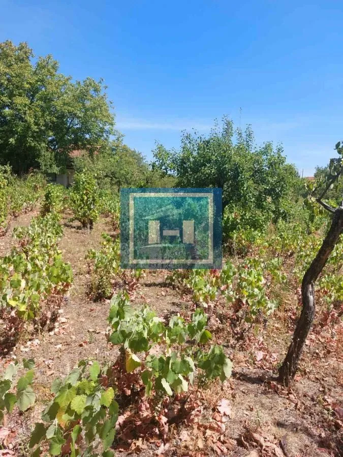 Prodaja, plac, 1295m², Karadjordjevo brdo, Paraćin