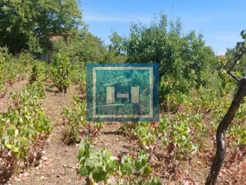 Sale, land lot, 1200m², Karadjordjevo brdo, Paraćin - image 3