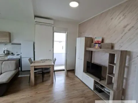 Izdavanje, dvosoban stan, 45m², Altina, Beograd - image 2