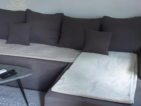 Izdavanje, jednosoban stan, 36m², Grbavica, Novi Sad Sve Podlokacije - image 2