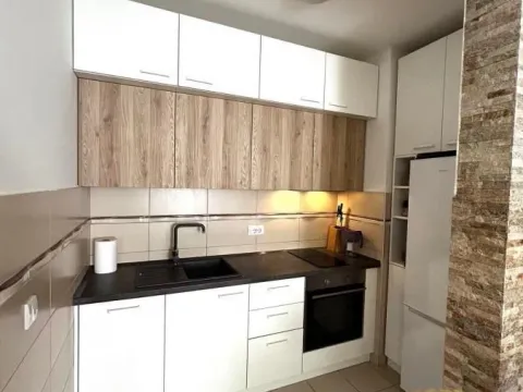 Rent, two bedroom apartment, 50m², Slavija, Vračar Sve Podlokacije - image 4