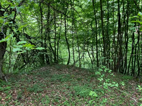 Prodaja, plac, 13789m², Bijelo Polje, Podgorica - image 2