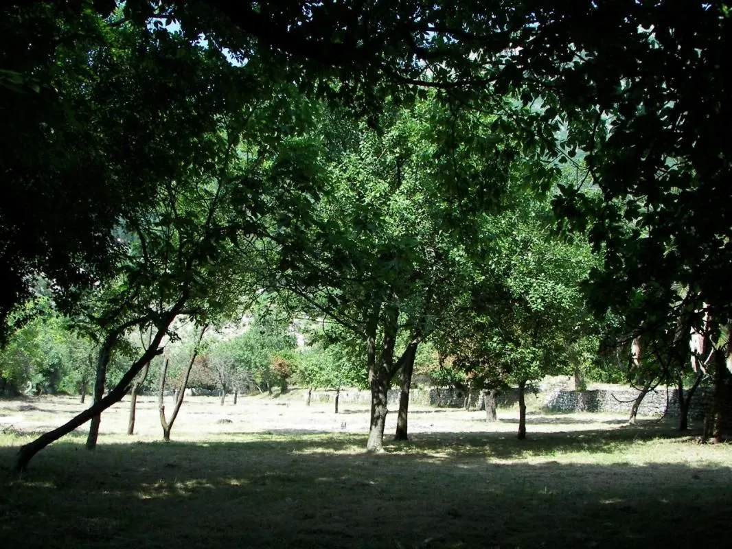 Prodaja, plac, 7162m², Risan, Kotor