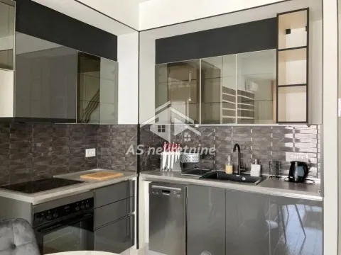 Izdavanje, dvosoban stan, 58m², Savski Venac, Beograd - image 8