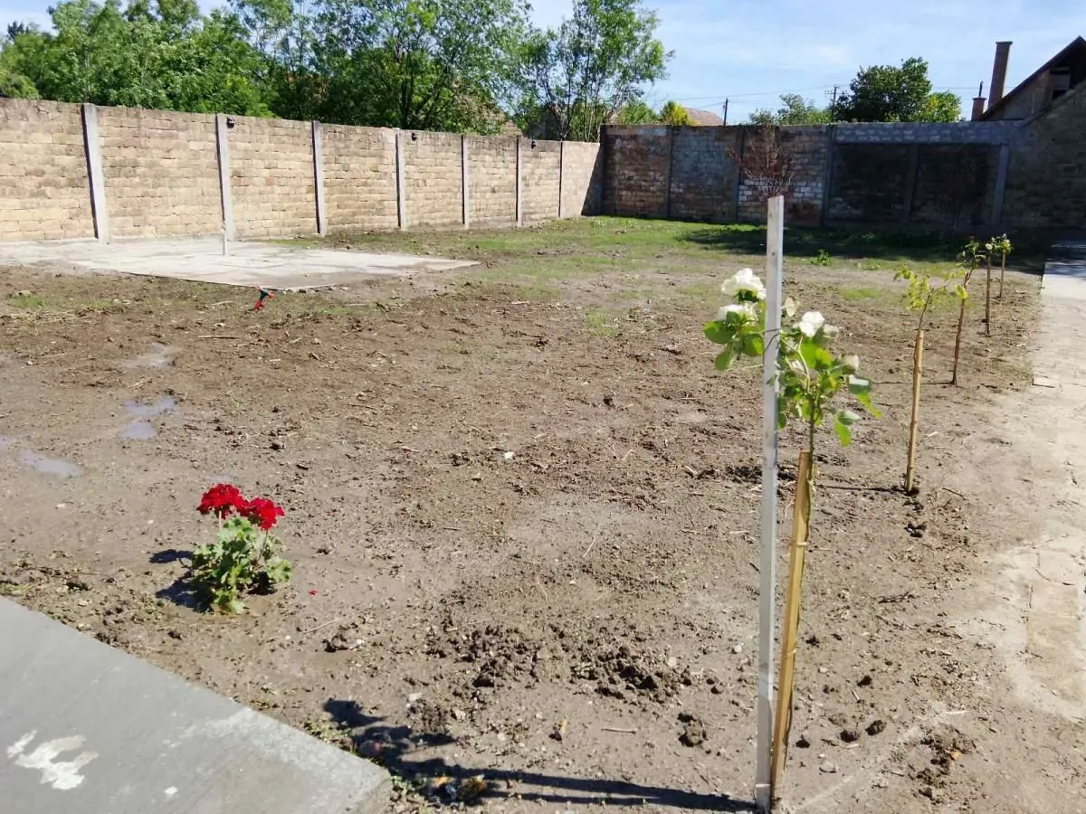 Prodaja, kuća, 57m², Bečej, Novi Sad