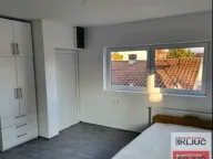 Izdavanje, garsonjera, 25m², Telep, Novi Sad Sve Podlokacije - image 2