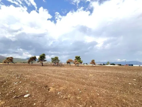 Prodaja, plac, 1729m², Donji Kokoti, Podgorica - image 4