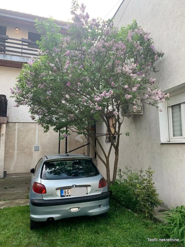 Prodaja, dvosoban stan, 37m², Zemun Centar, Zemun Sve Podlokacije