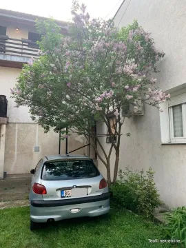 Prodaja, dvosoban stan, 37m², Zemun Centar, Zemun Sve Podlokacije - image 5