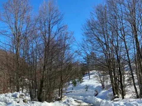 Prodaja, plac, 500m², Podgorica, Crna Gora - image 8