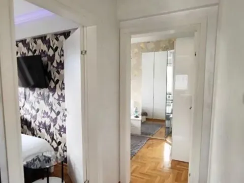 Rent, two bedroom apartment, 56m², Južni Bulevar, Vračar Sve Podlokacije - image 10
