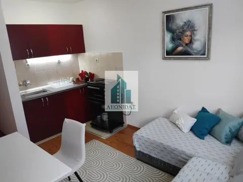 Izdavanje, jednosoban stan, 32m², Pantelej, Niš - image 3