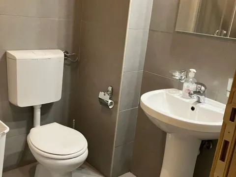 Izdavanje, jednosoban stan, 50m², Tuški Put, Podgorica - image 6