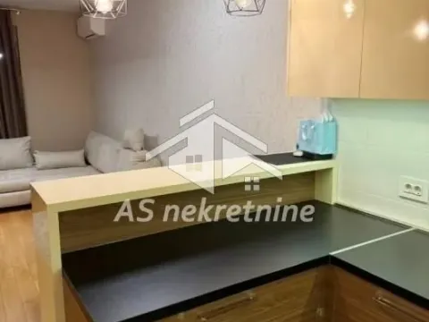 Rent, two bedroom apartment, 55m², Južni Bulevar, Vračar Sve Podlokacije - image 4
