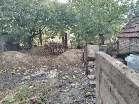 Zaraslo dvorište sa stablima i ostacima voća na zemlji. - image 7