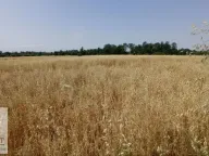 Prodaja, plac, 90m², Konatice, Obrenovac - image 4