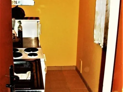 Prodaja, dvosoban stan, 50m², Tabane, Jagodina - image 3